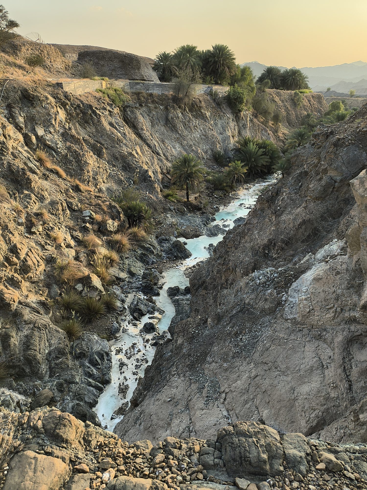 A milky-turquoise hyperalkaline stream in an ophiolite gorge in Fujairah